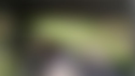 sottopasso pedonale degradato con erbacce sulla Statale 18 ad Acquappesa