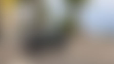 Guardia di Finanza Crotone durante operazione contro la ‘Ndrangheta