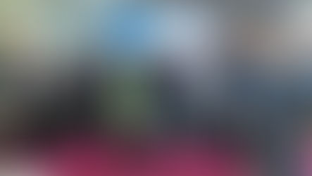 Riviera dei cedri, bilancio positivo per il consorzio operatori turistici al Ttg di Rimini