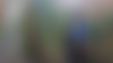 Carabinieri Africo Nuovo piantagione cannabis sequestrata