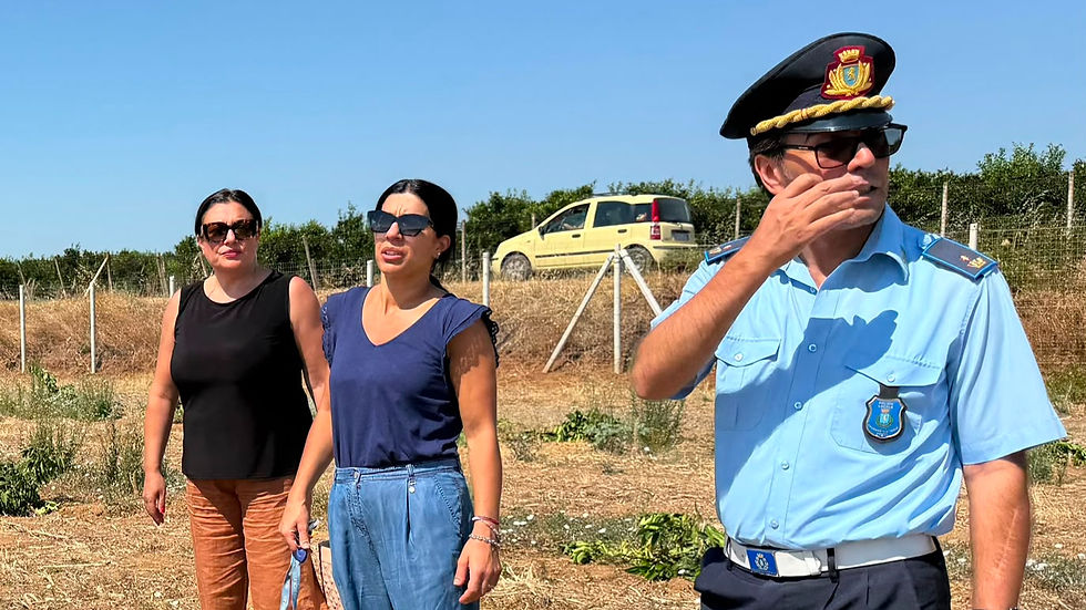 Cassano, distrutte circa 100 piante di arancio dell’azienda Fratelli Federico