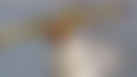 Aiello calabro, incendio: evacuate due abitazioni