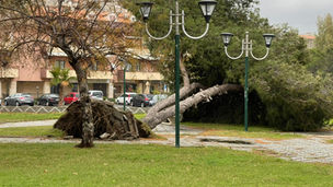 Maltempo e allerta sulla costa tirrenica: mareggiate e vento sui paesi del litorale