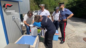 Operazioni di controllo a Scalea e San Nicola Arcella: sanzioni per oltre 112.000 euro 🖥