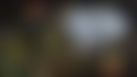 Incidente stradale a Platania sulla Panetti–Mercuri–Rito