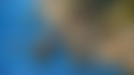 Cetraro, la scogliera dei rizzi nel parco marino della Riviera dei cedri