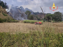 Vasto incendio boschivo a Pianopoli, tra la SS 280 e l'isola ecologica