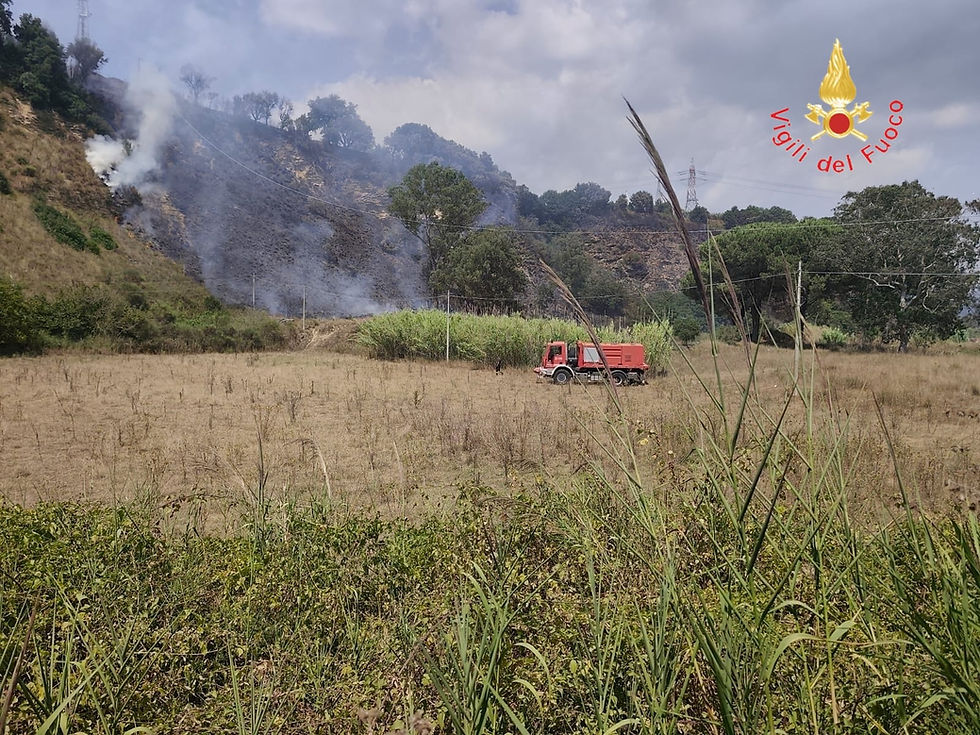 Vasto incendio boschivo a Pianopoli, tra la SS 280 e l'isola ecologica