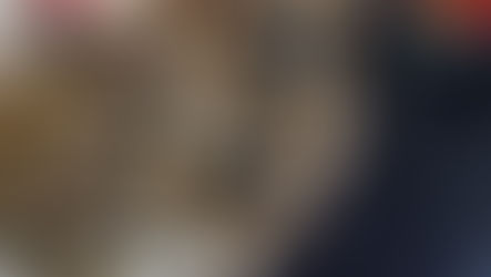 Turismo venatorio: otto persone denunciate e armi sequestrate a Castrovillari e Terranova da Sibari