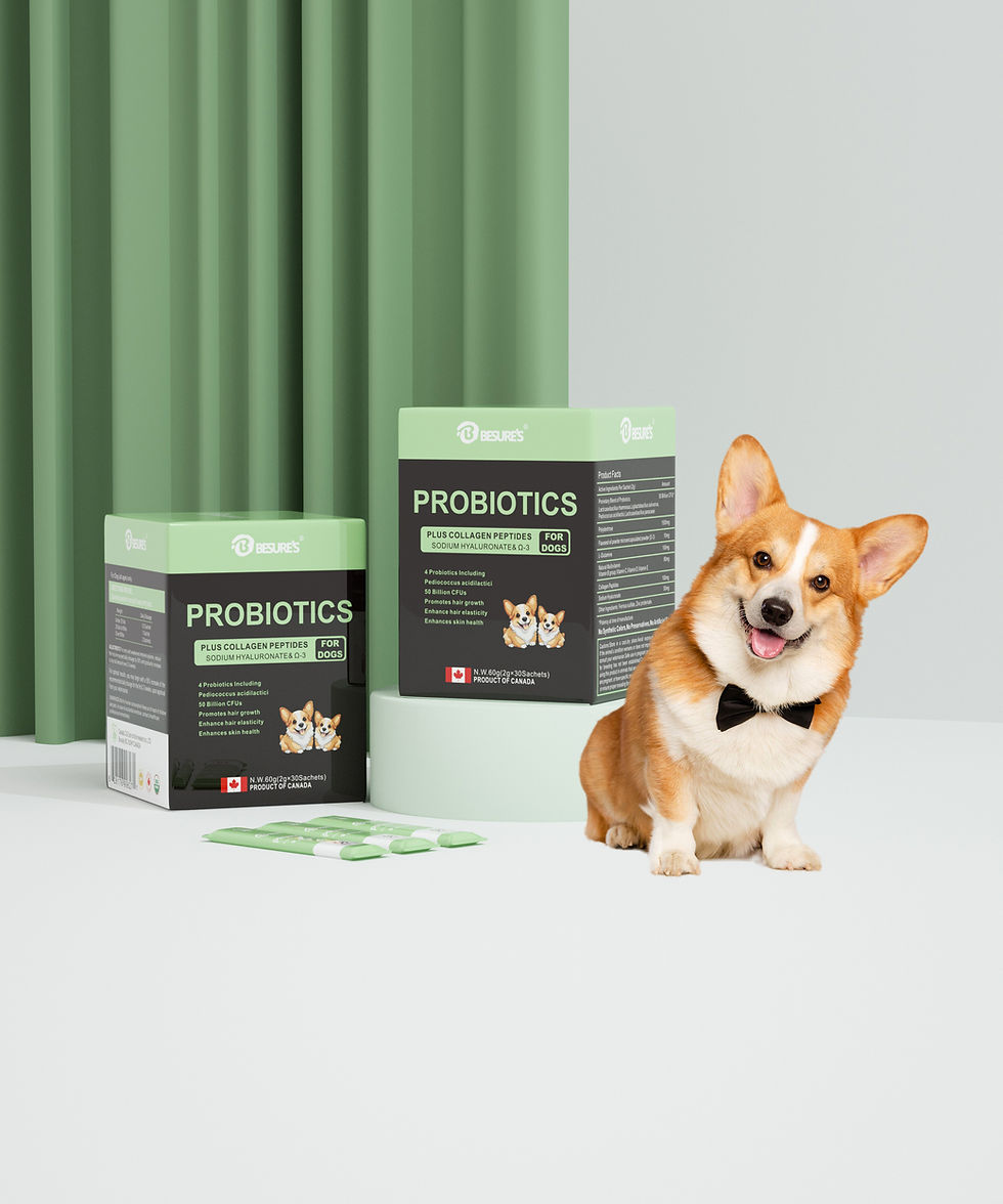 縮圖：Besure's PROBIOTICS forDOGS