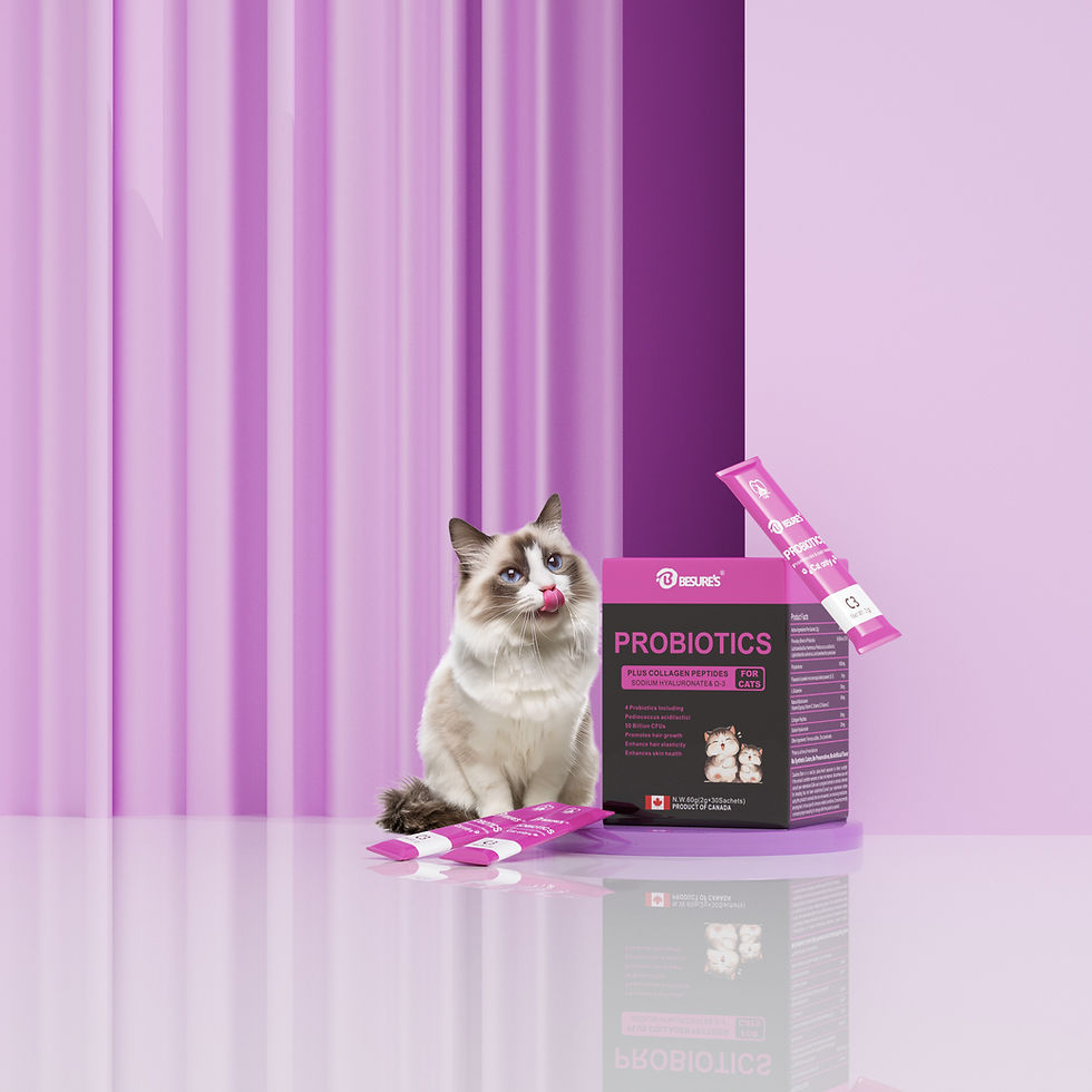 縮圖：Besure's PROBIOTICS for CATS