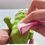 Thumbnail: "Thumb Up" Natural Latex Squeaky Bark Dog Toy