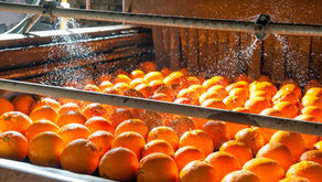 Perfecting Packhouse Hygiene for Peak Performance