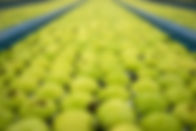AdobeStock_431625965-min (1).jpeg