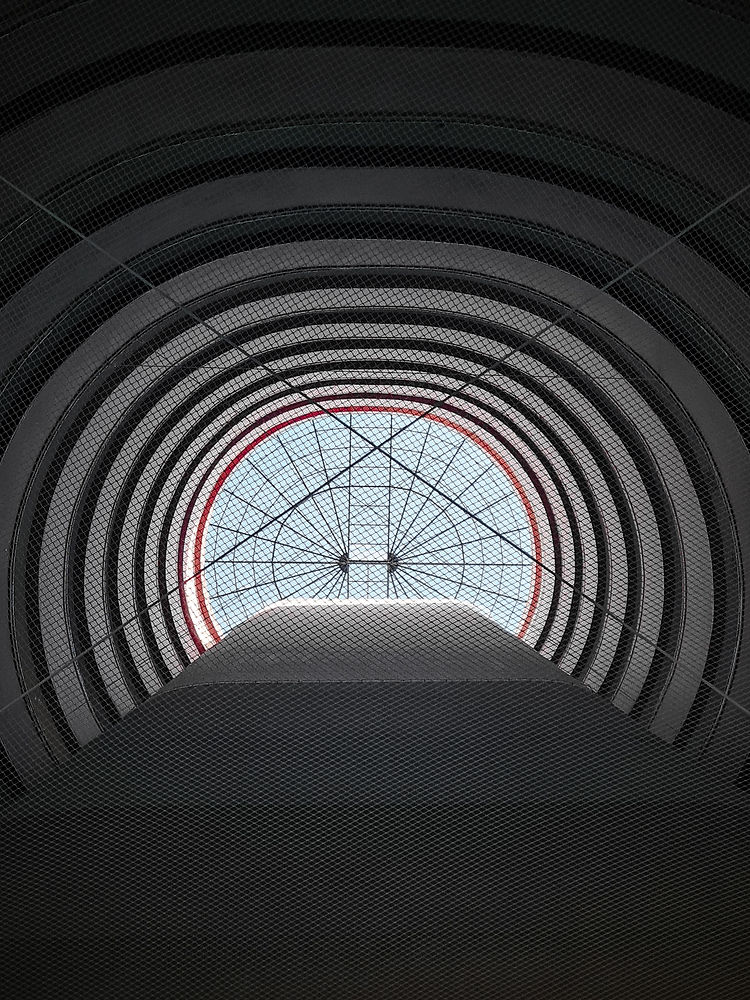 20210428_153543.jpg