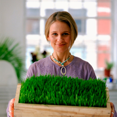 Wheat Grass