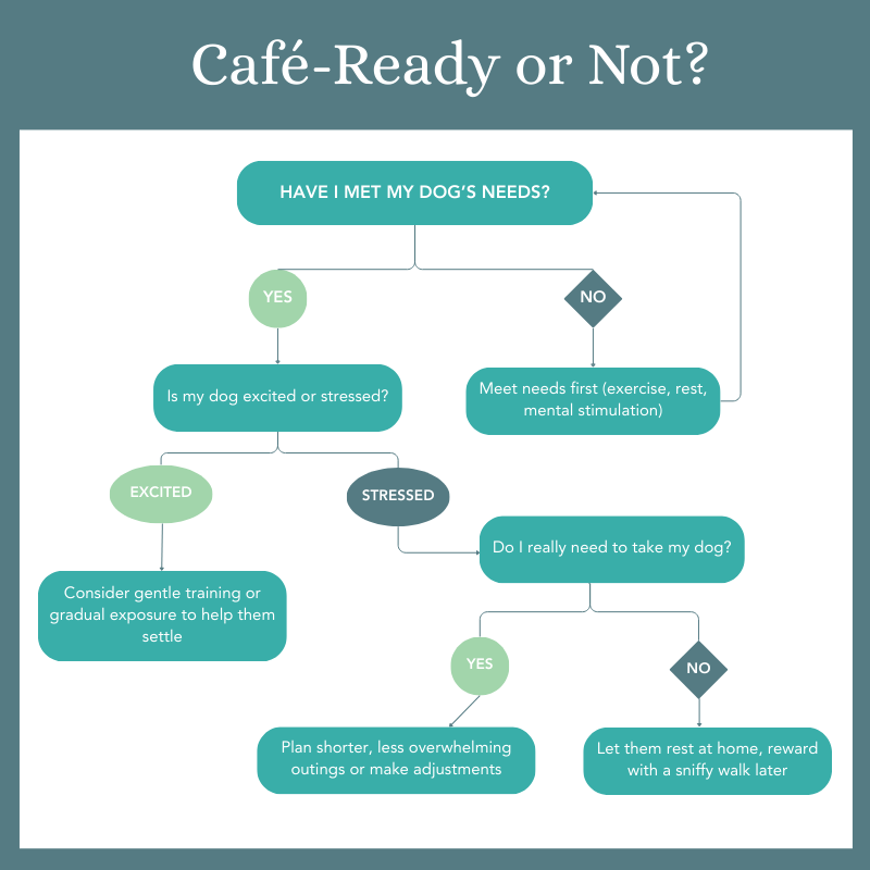Decision tree illustrating steps to assess if a dog is ready for a busy public outing: meeting needs, checking stress signs, and considering alternatives.