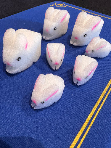 Sponge rabbits | magic-school