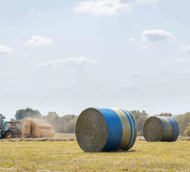 Jones Twine Net Wrap Home