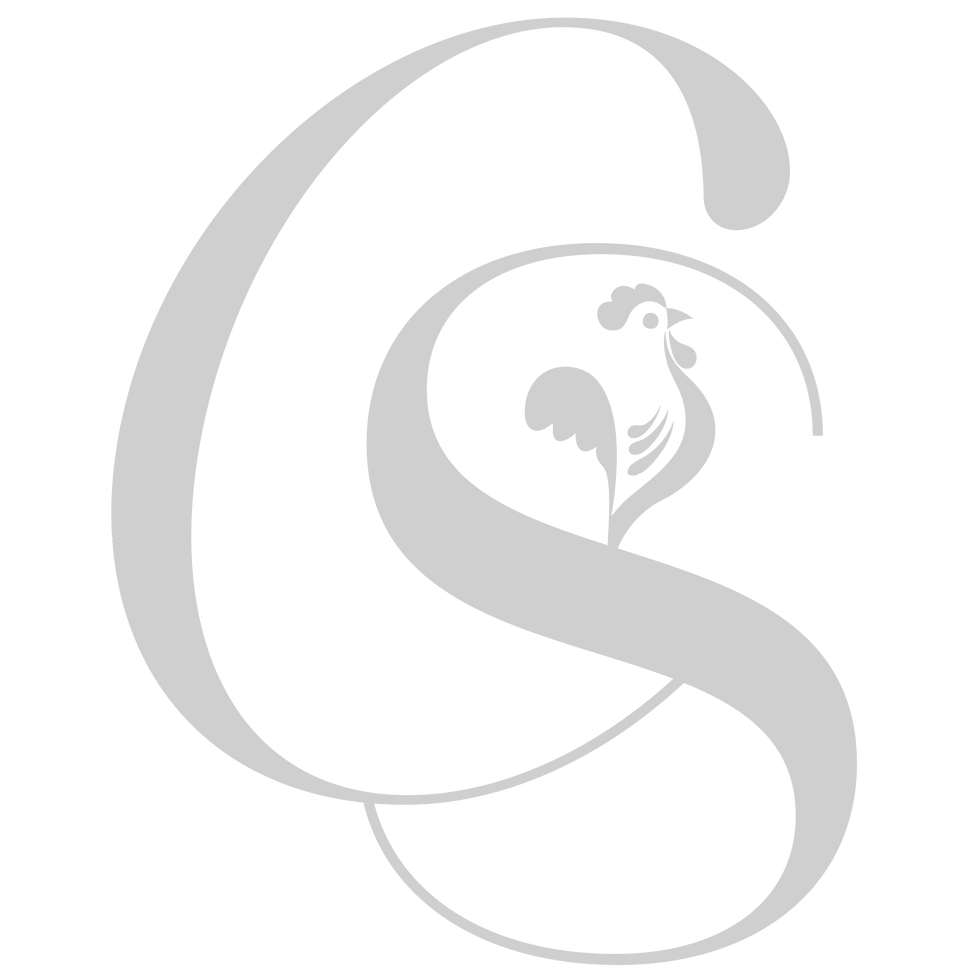 CS-Logo-Gray-Transparent.png