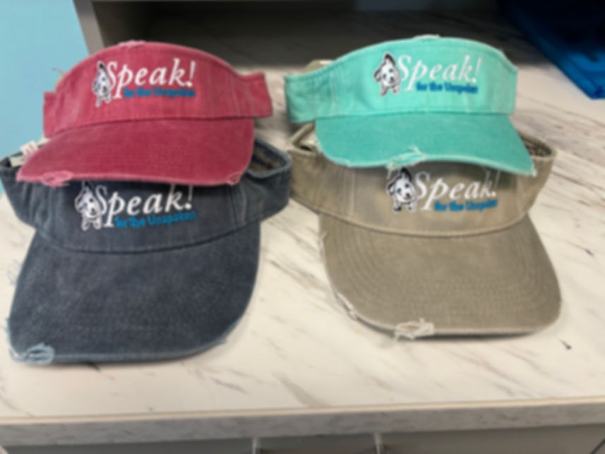 Speak Visor