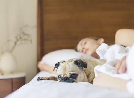 L'importance de bien dormir pour gérer son poids