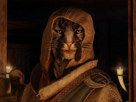 The Elder Scrolls VI deve ser lançado apenas em 2028 ou 2029