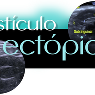 detalhes sobre os testículos ectópicos