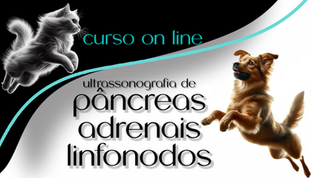 curso on line de pâncreas, adrenais e linfonodos