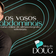 os vasos abdominais - curso on line