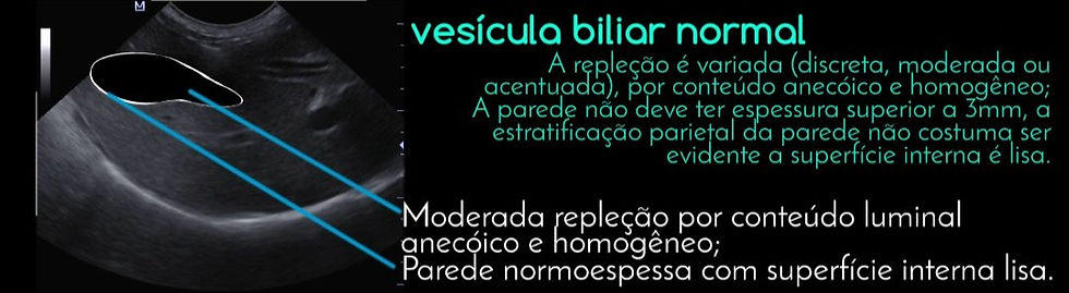 conteúdos da vesícula biliar