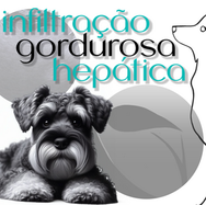 infiltração gordurosa hepática