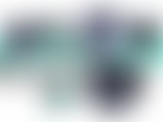 o rim e suas medidas - aula post