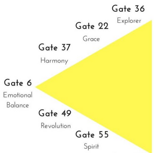 מקלעת השמש (Solar Plexus).