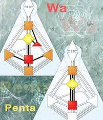 אלימות אנושית (Human violence).