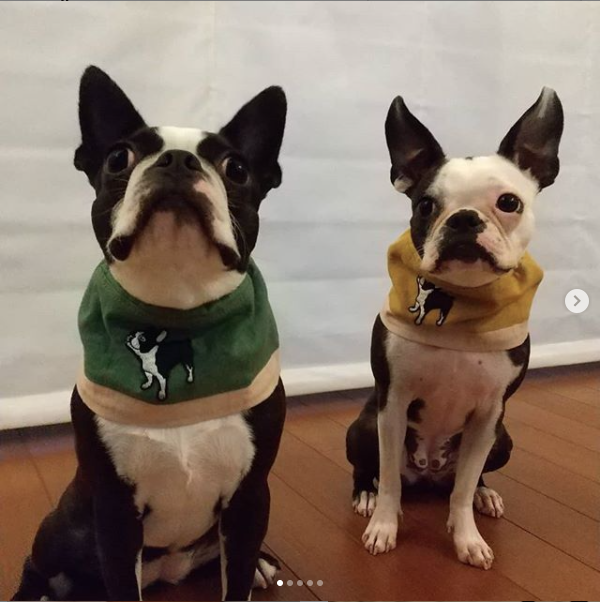 ポポちゃんとウパちゃん