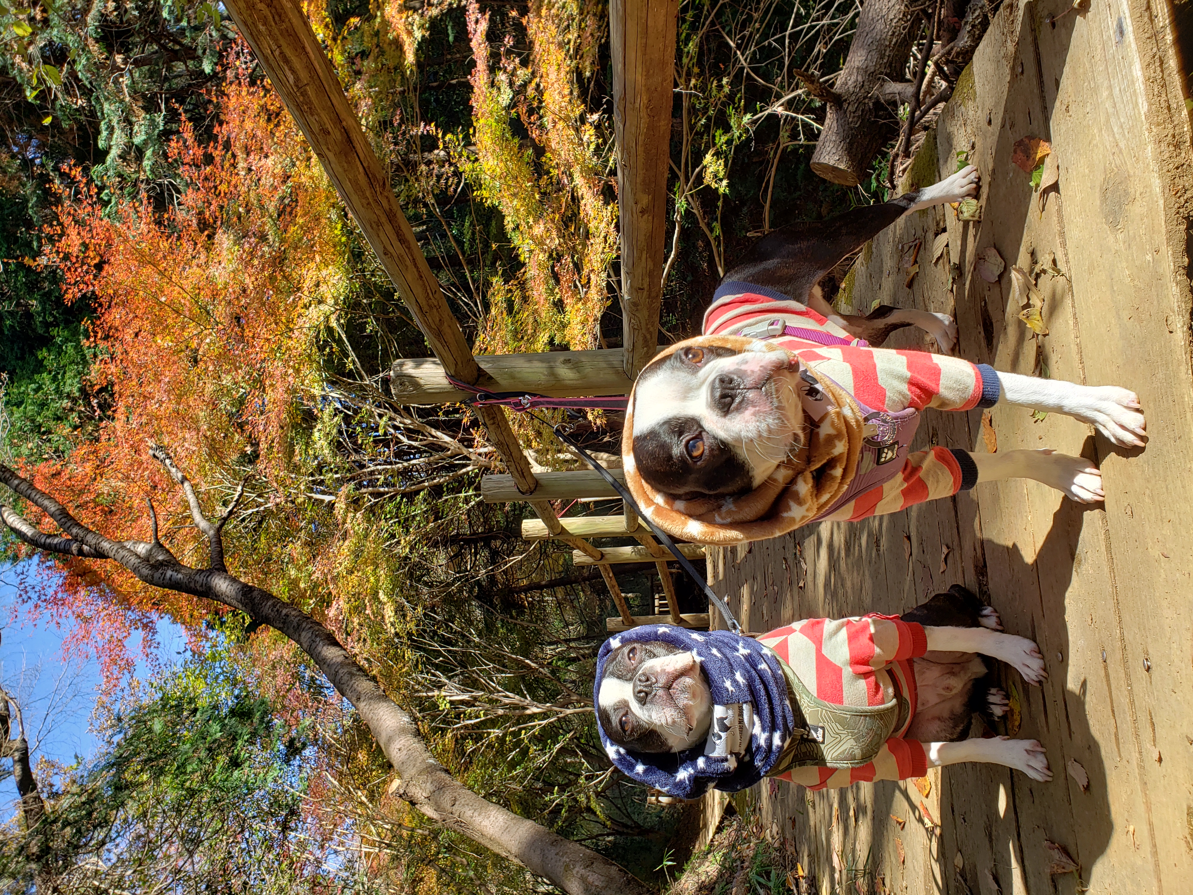 はにわくん&じゅってくん
