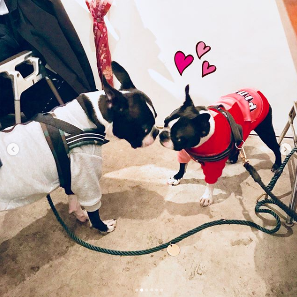 Natsu兄 & Pino妹