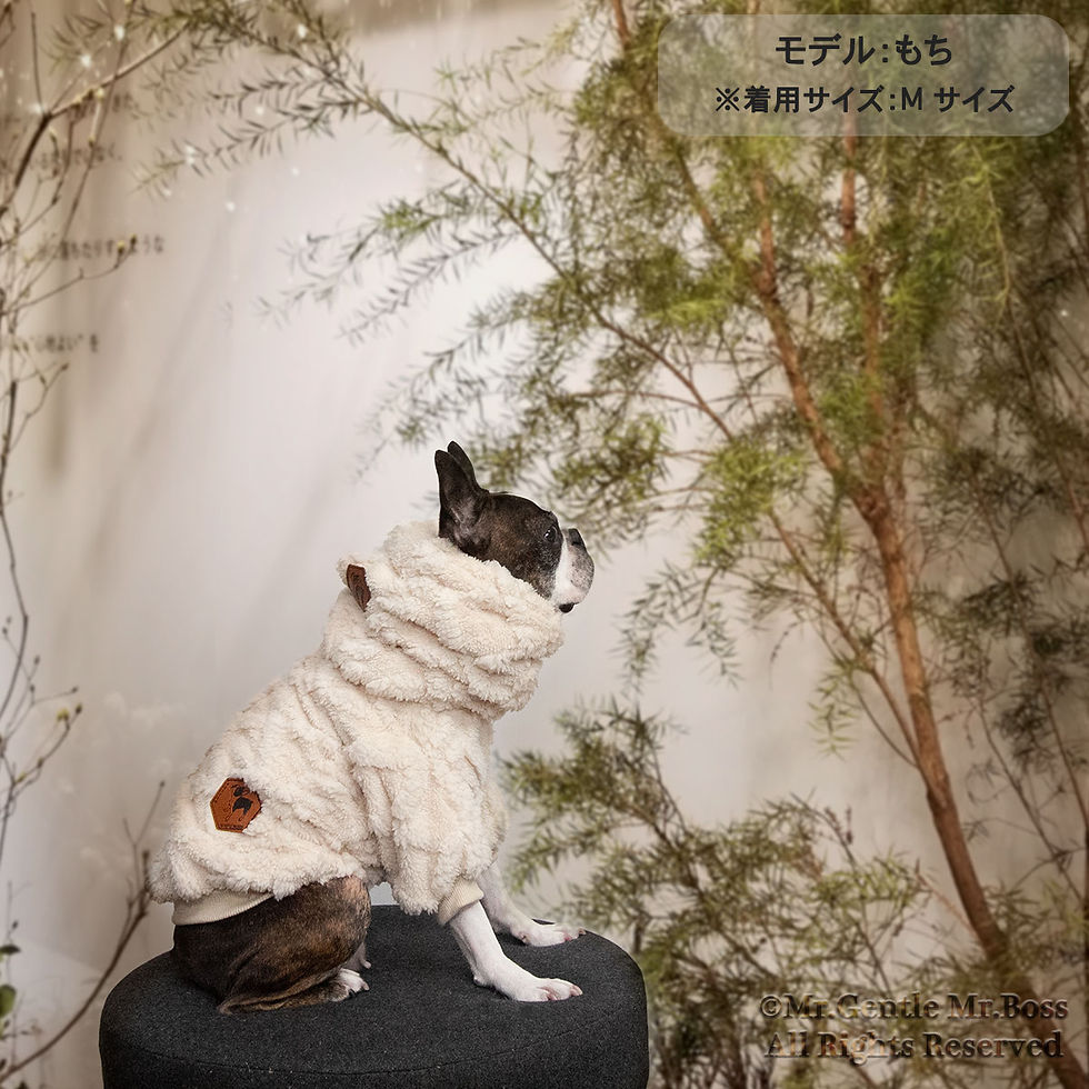 サムネイル： ダイヤ編み模様ボアフリース☆Pullover☆Cream