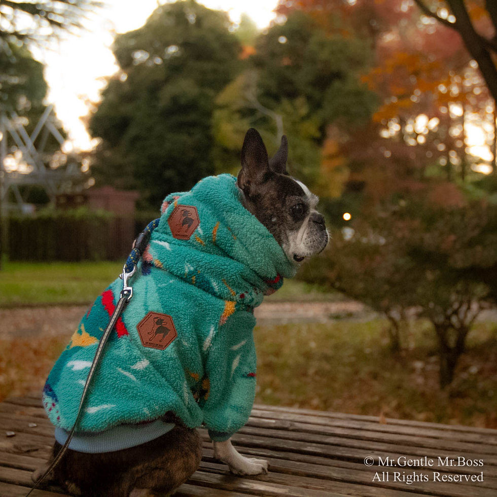 サムネイル： 耳までぬくぬくNeck Wamer　Graphic-Mountain柄　Blue