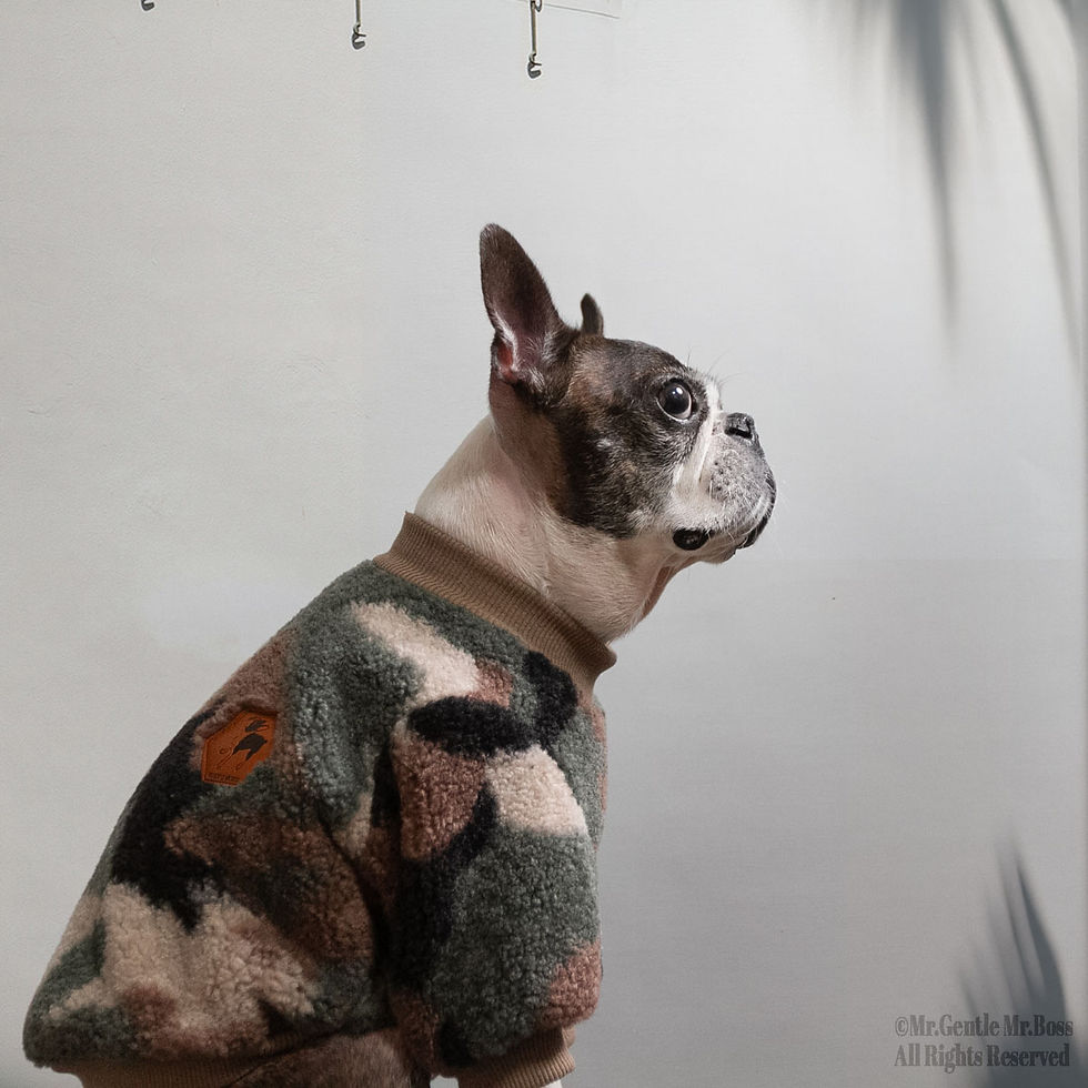 サムネイル： カモフラージュ柄ベアボア☆Pullover☆Deep Green