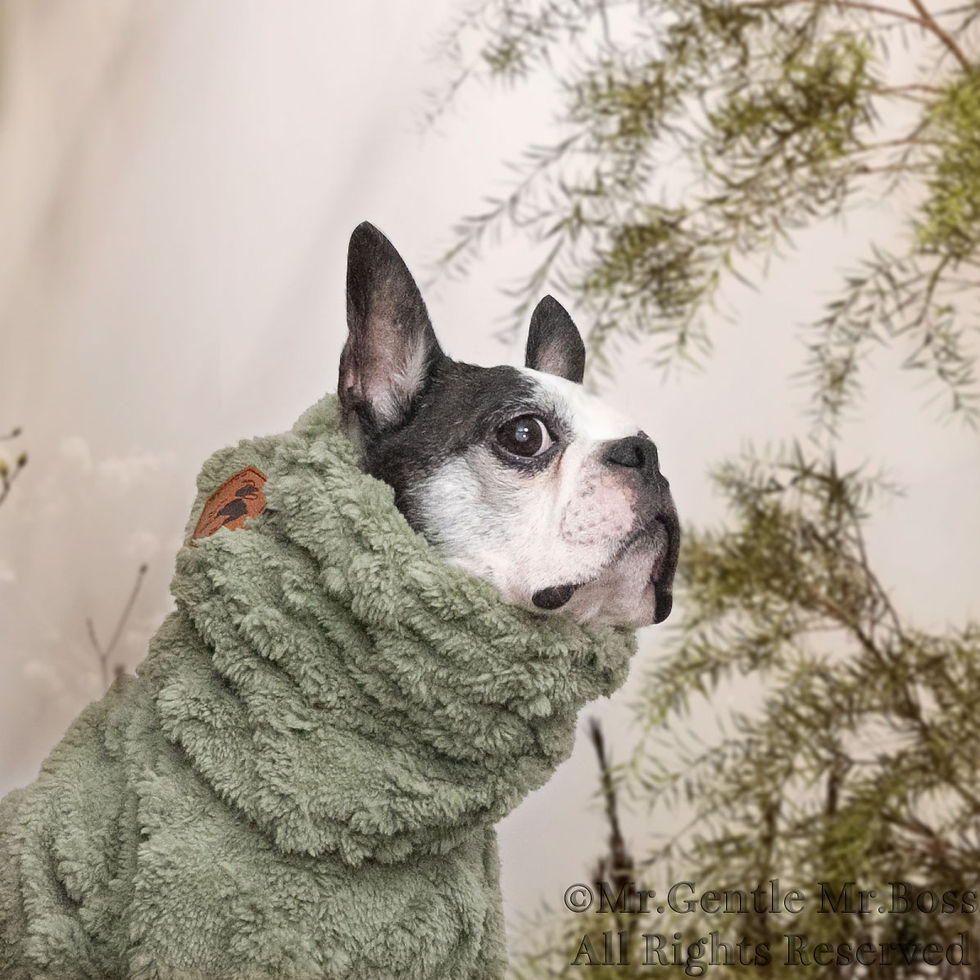 サムネイル： 耳までぬくぬくNeck Wamer　ダイヤ編み模様ボアフリース　Khaki