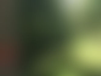 Benefits of Hedge and Tree trimming