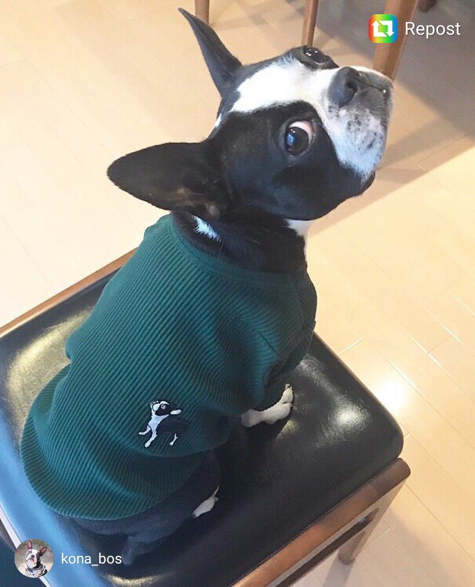 KONAちゃん