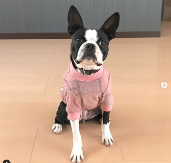 Konaちゃん