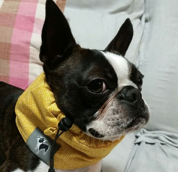 くらんのすけくん