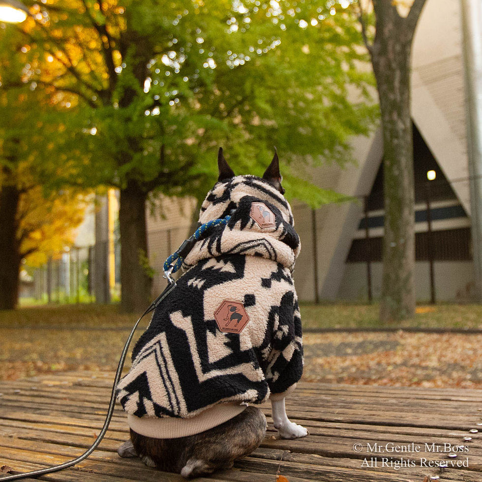 サムネイル： 耳までぬくぬくNeck Wamer　トライバル柄　Monotone