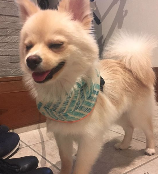 ムクちゃん