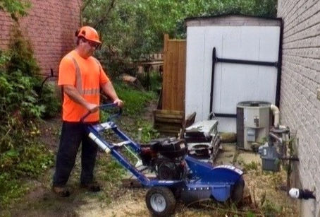 Stump removal