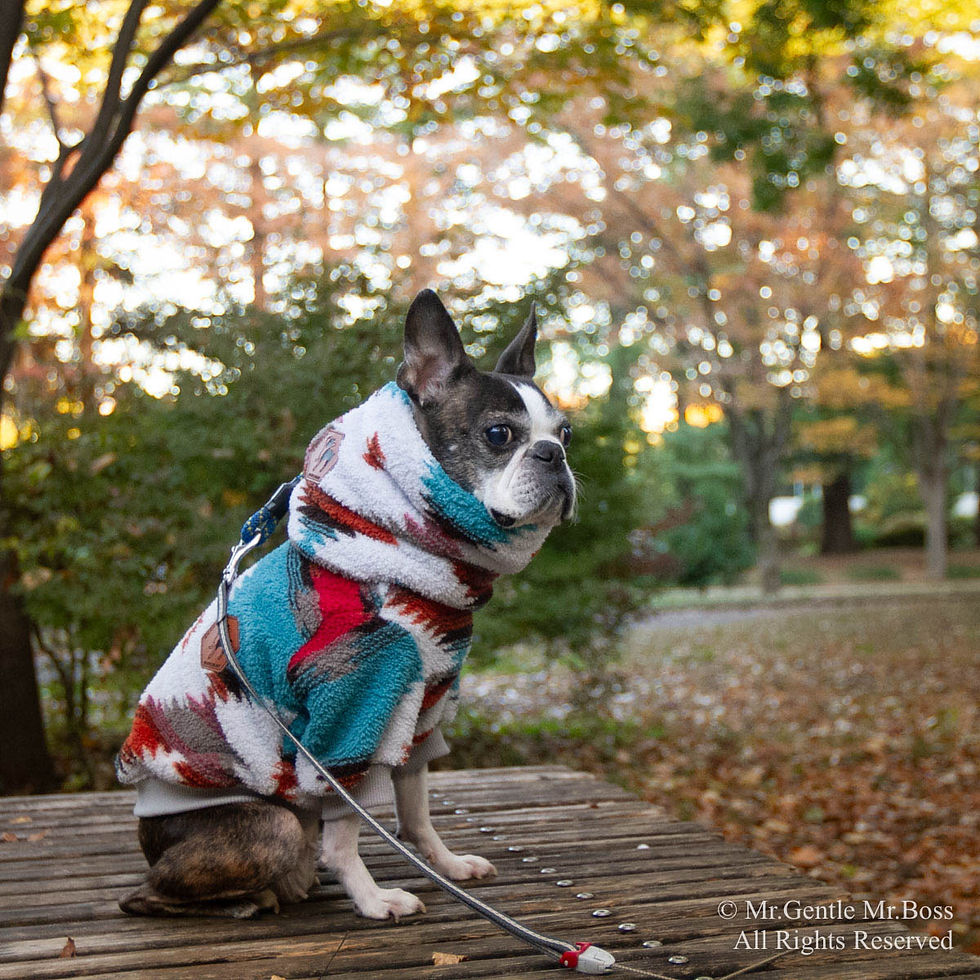 サムネイル： 耳までぬくぬくNeck Wamer　ナバホ柄　Turquoise